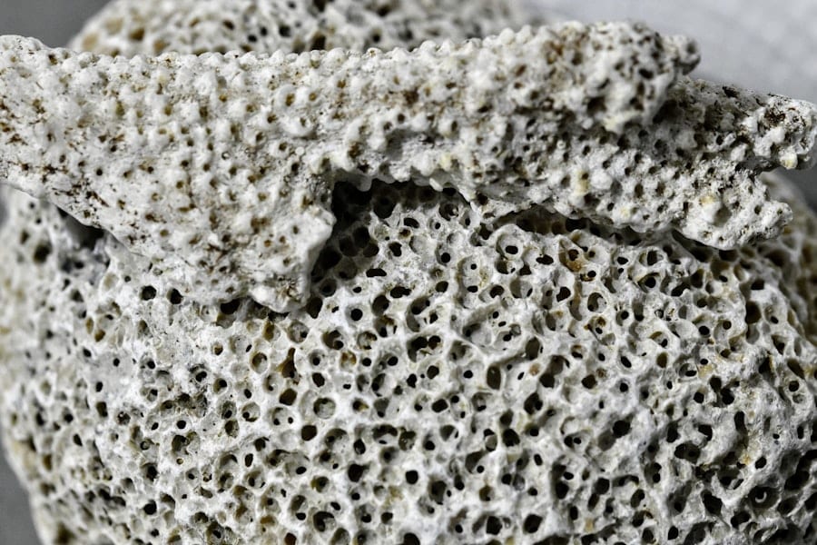 Holzfaser Mikrostruktur Naturstein
