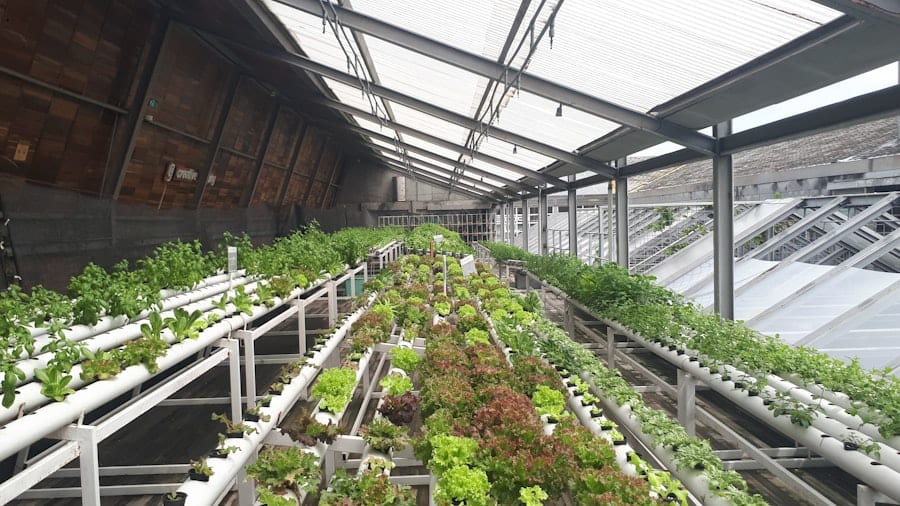 Photo Pflanzenwand Rooftop Garten