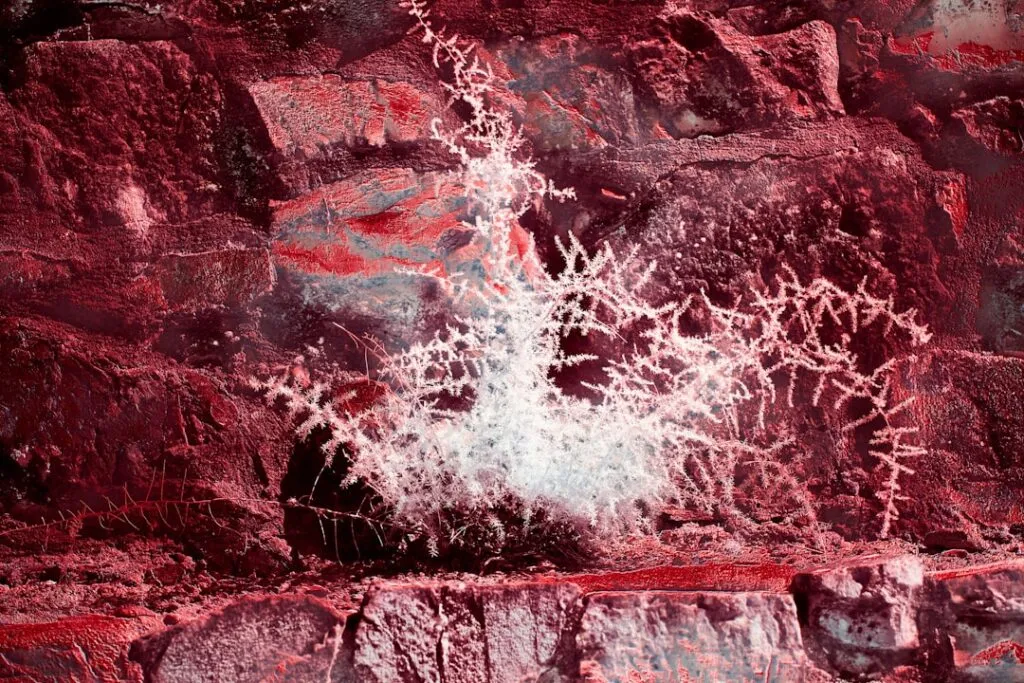 Photo Holzfaser Mikrostruktur Naturstein