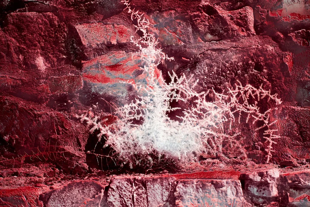 Photo Holzfaser Mikrostruktur Naturstein